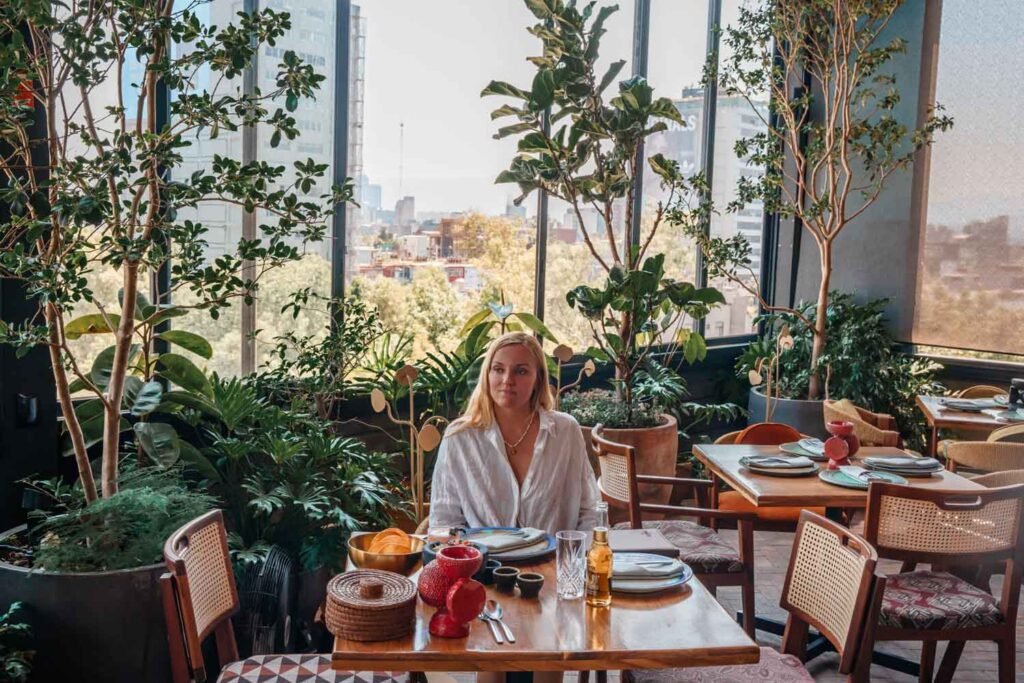 Best Restaurants in Roma Norte Mexico City for Every Occasion