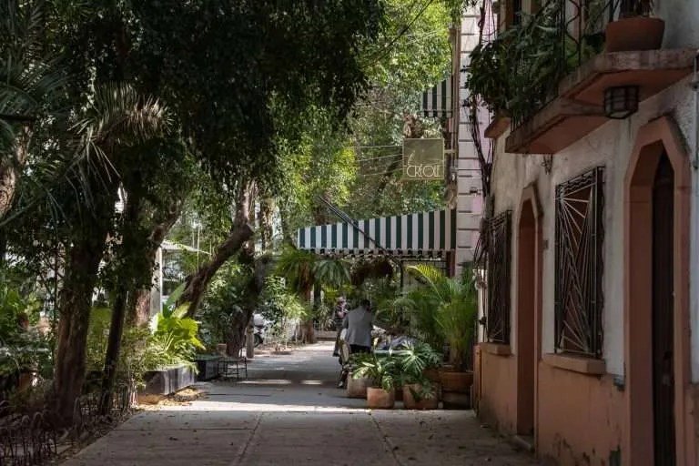 A Condesa Mexico City Restaurants Guide to Memorable Meals